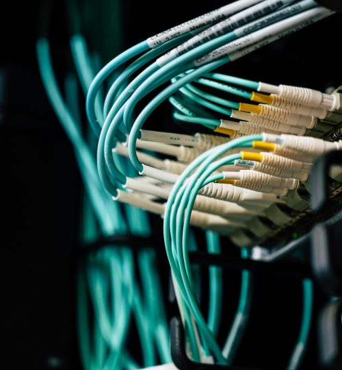 Detailed view of network cables plugged into a server rack in a data center.